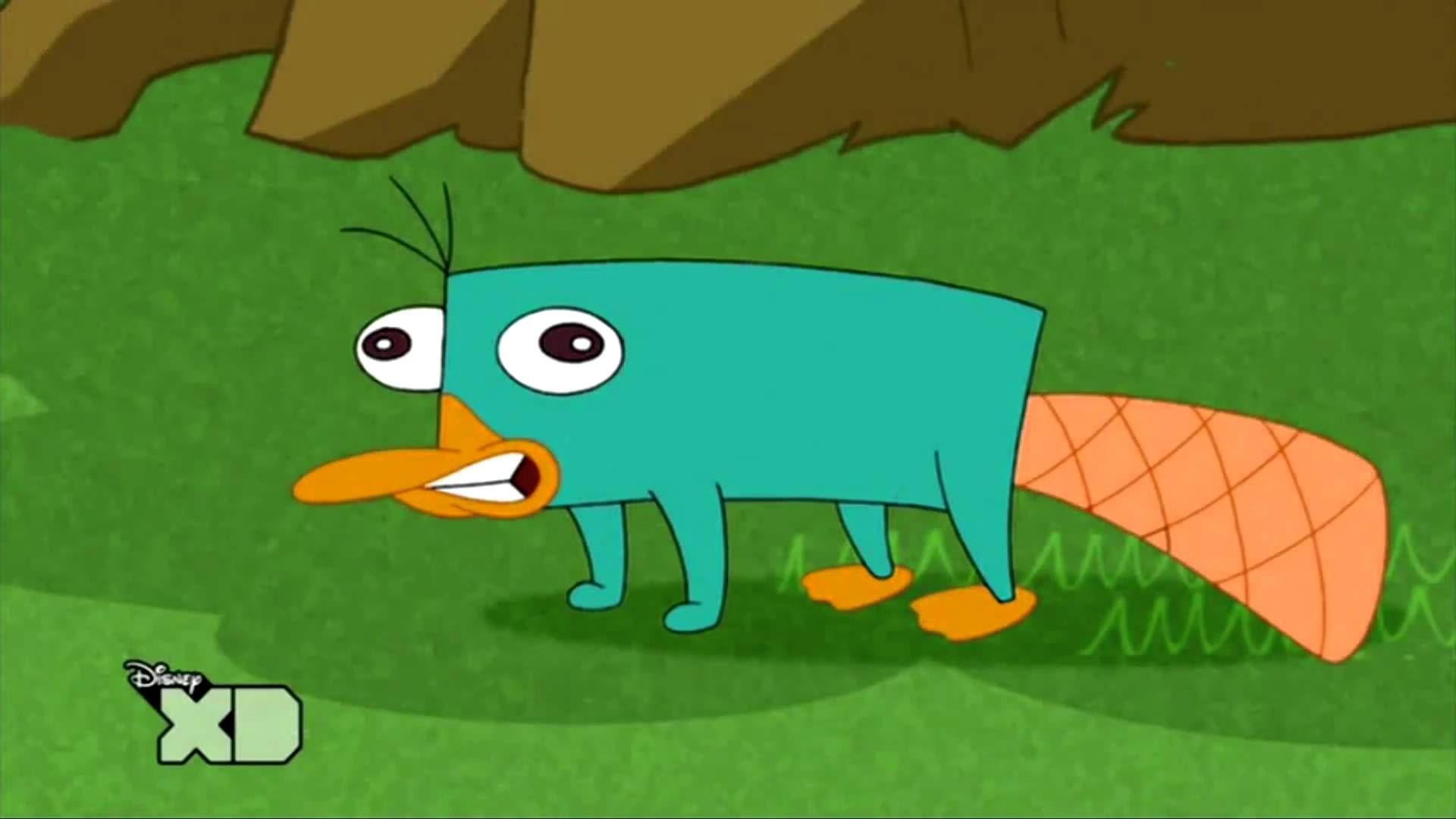 Perry The Platypus Wallpapers