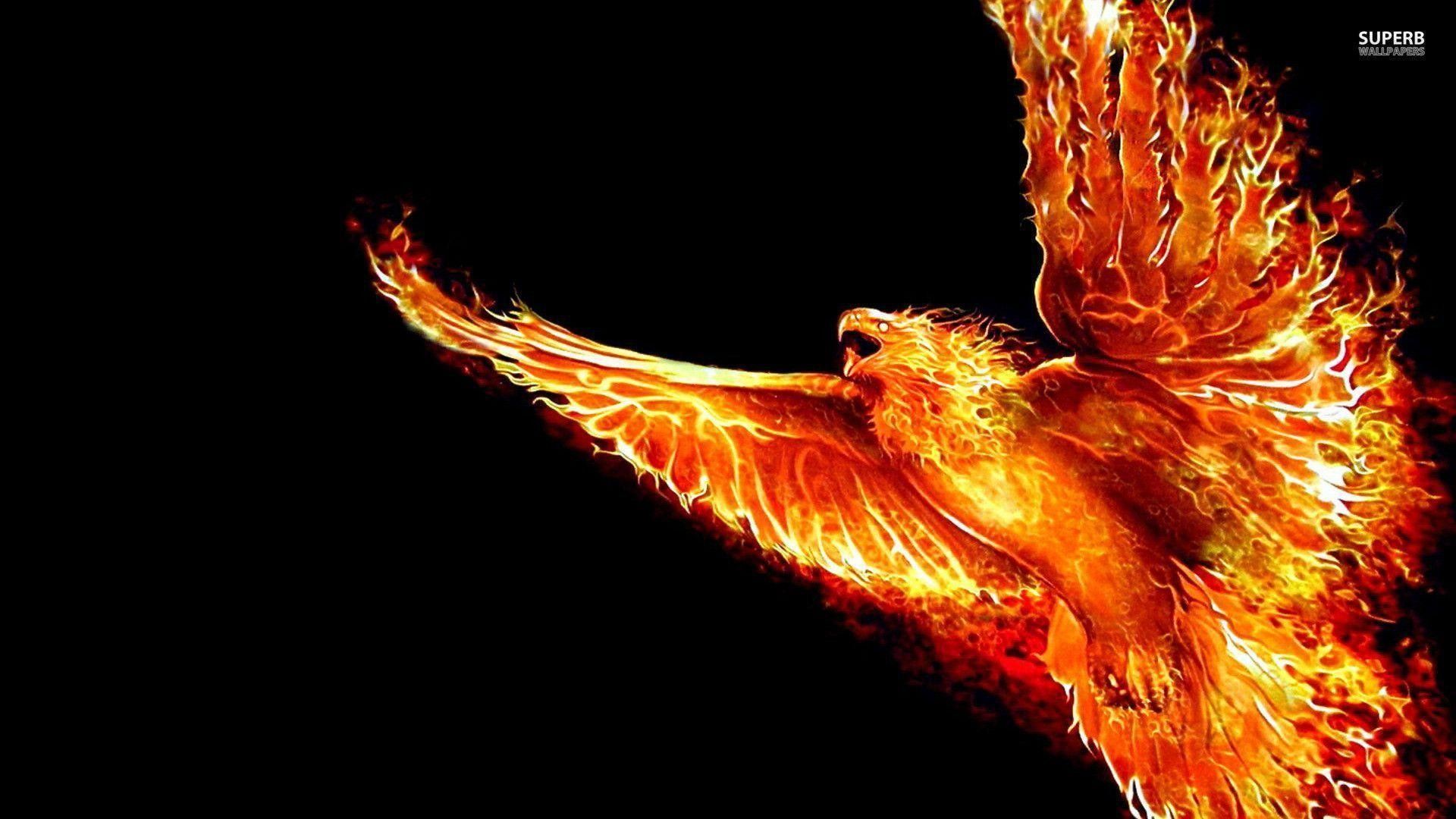 Phoenix Bird Images Free Download Wallpapers