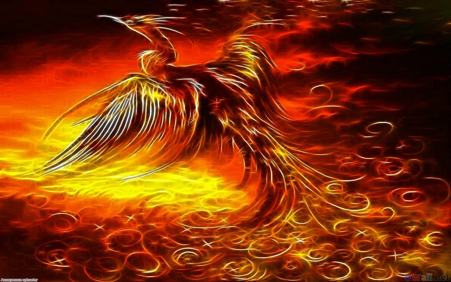 Phoenix Bird Images Free Download Wallpapers