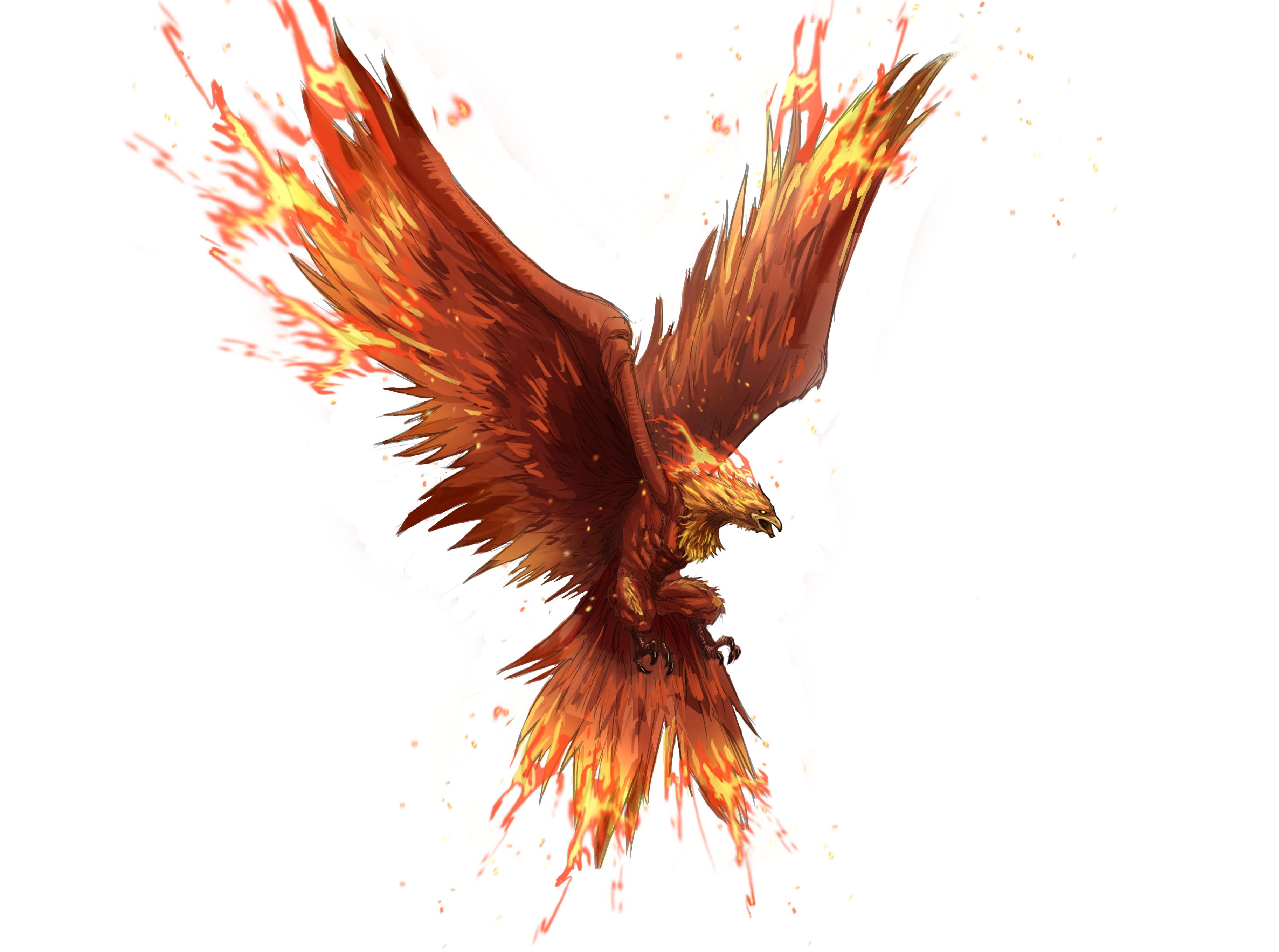 Phoenix Bird Images Free Download Wallpapers