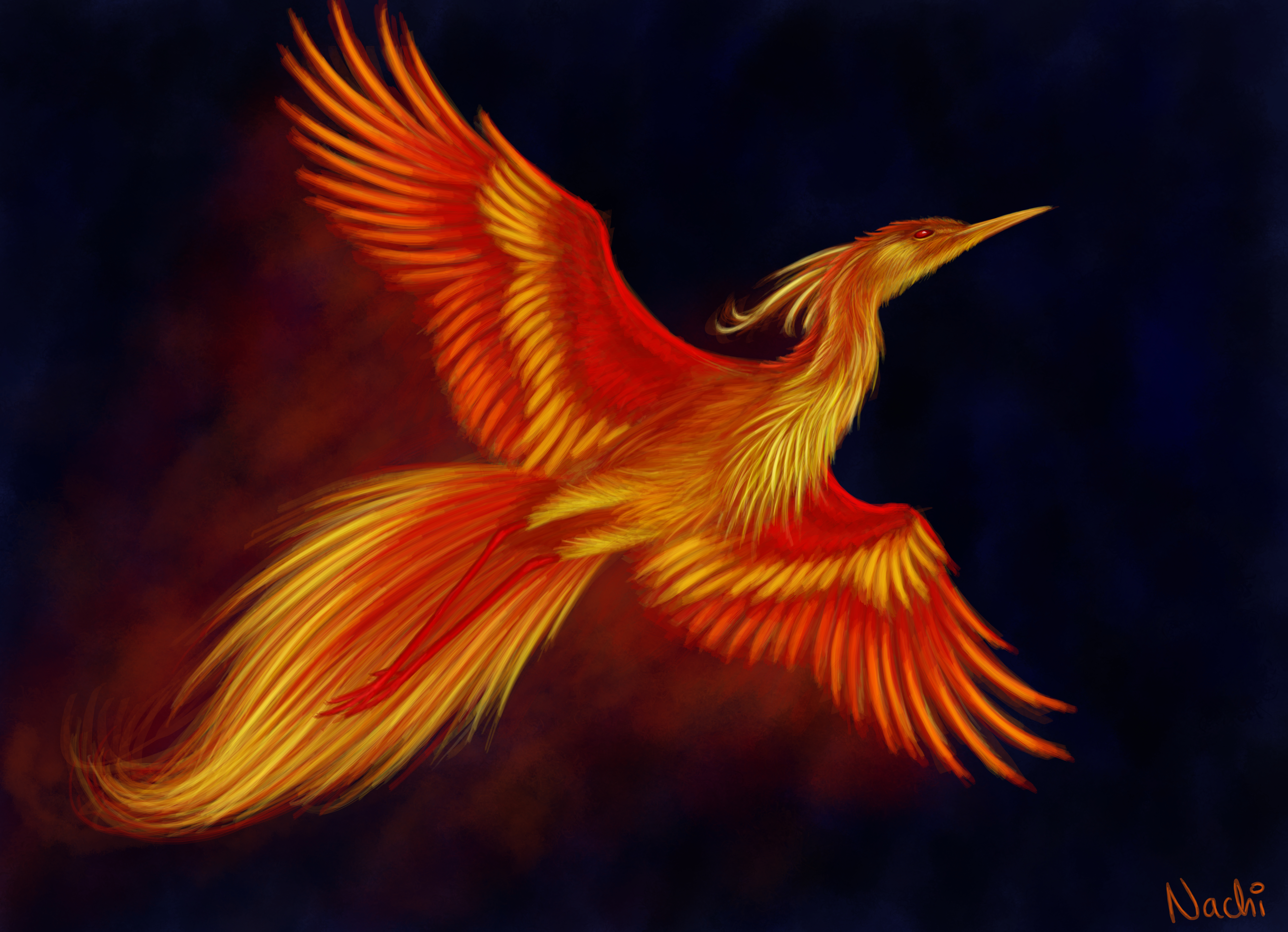 Phoenix Bird Images Free Download Wallpapers