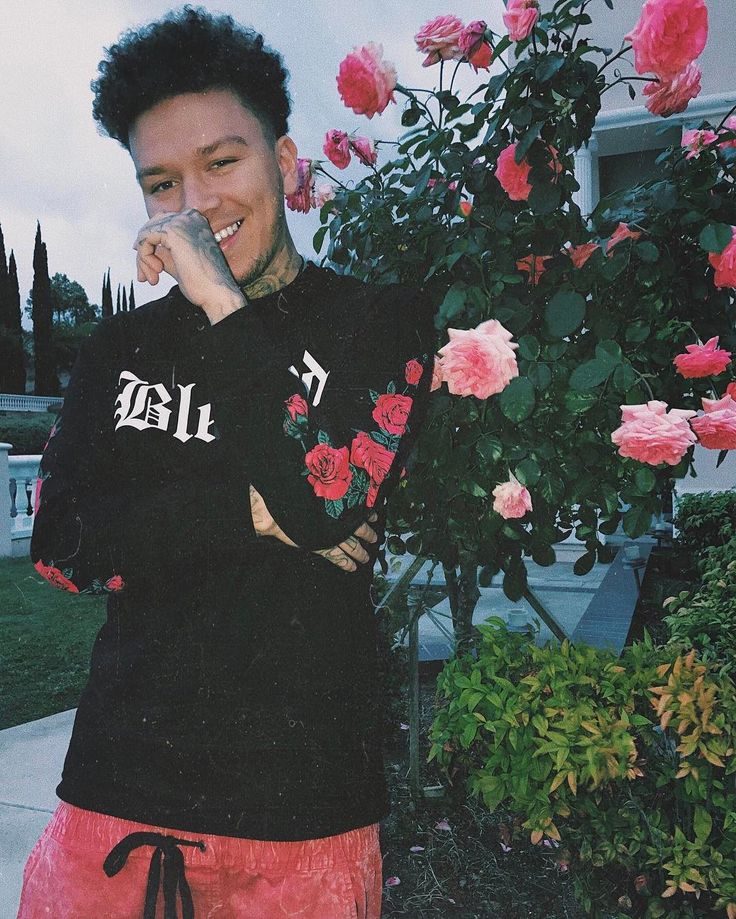 Phora Wallpapers