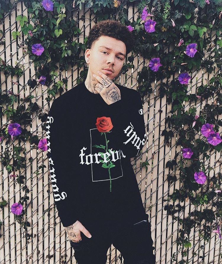 Phora Wallpapers