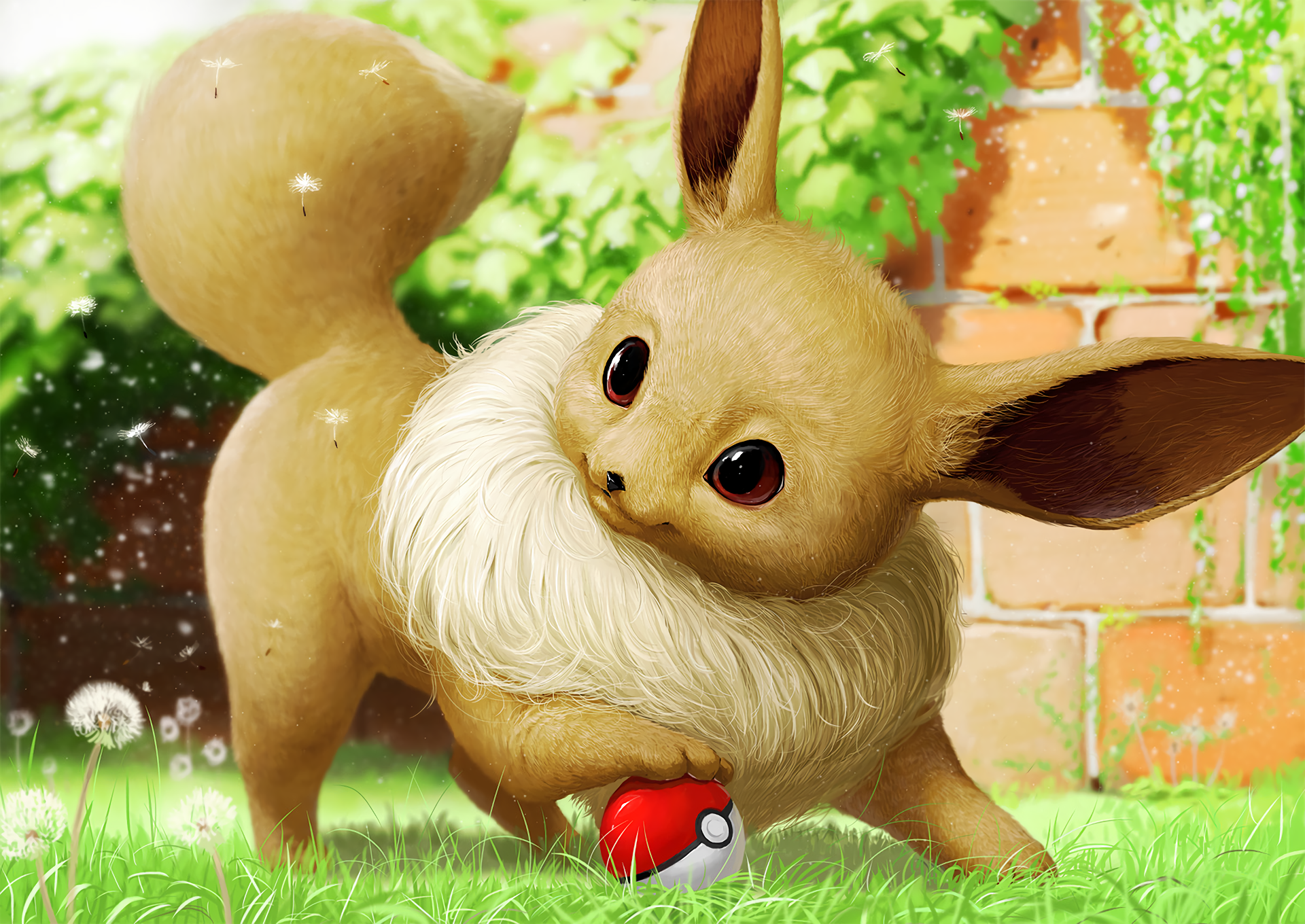 Pic Of Eevee Wallpapers