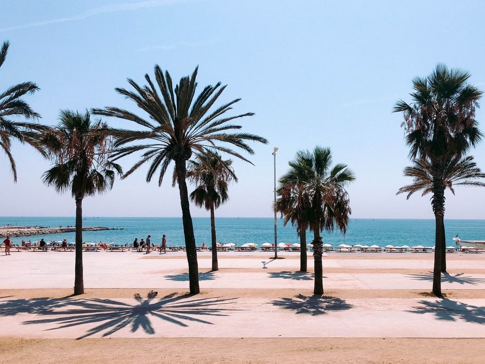 Pictures Of Barcelona Beach Wallpapers