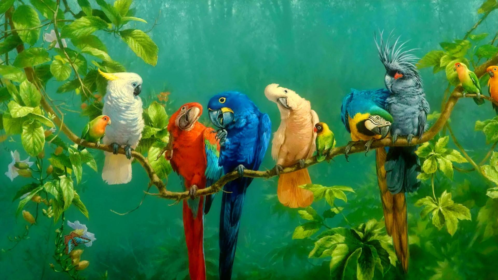 Pictures Of Blue Parrots Wallpapers