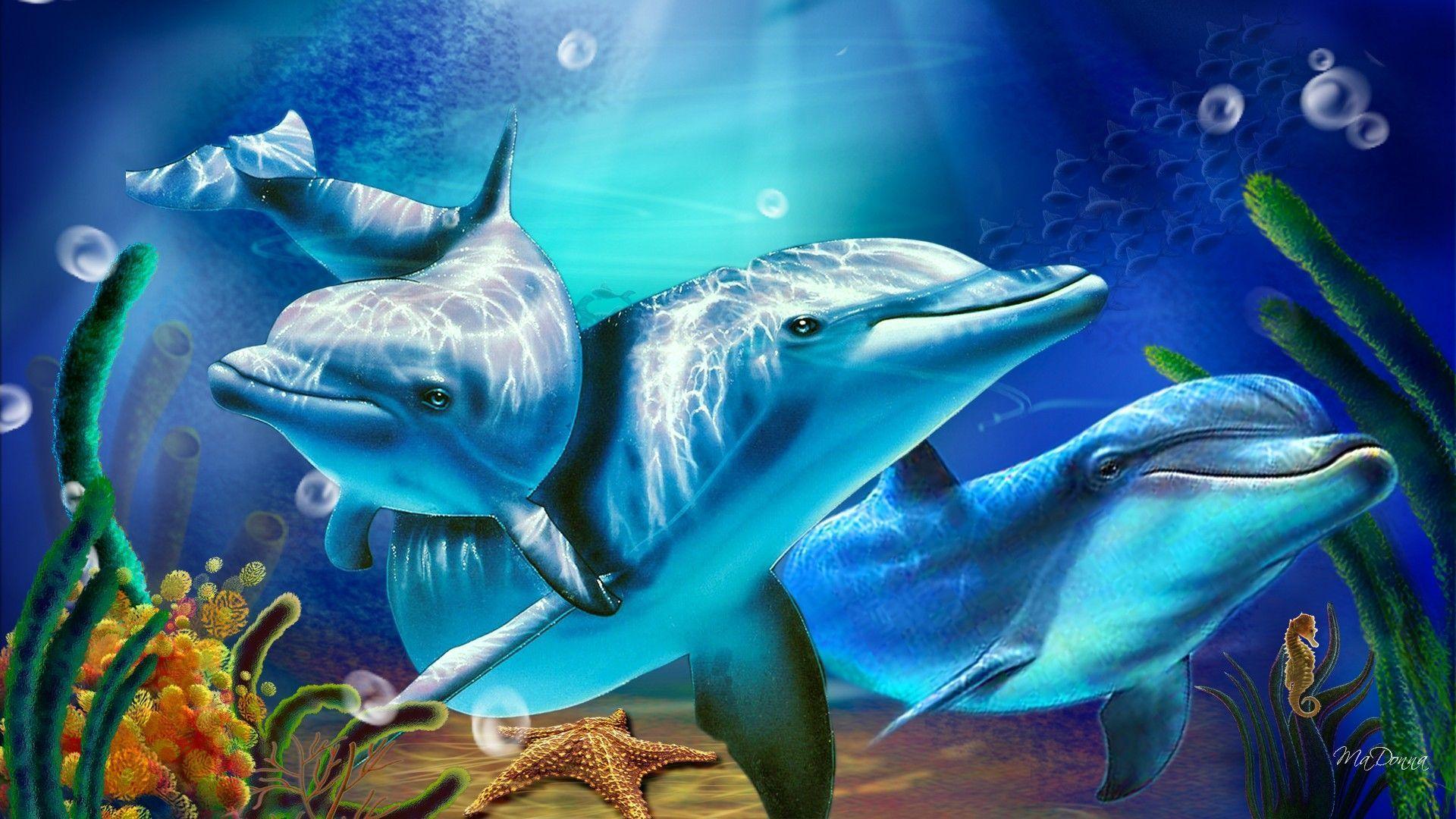 Pictures Of Dolphins Under Water Wallpapers