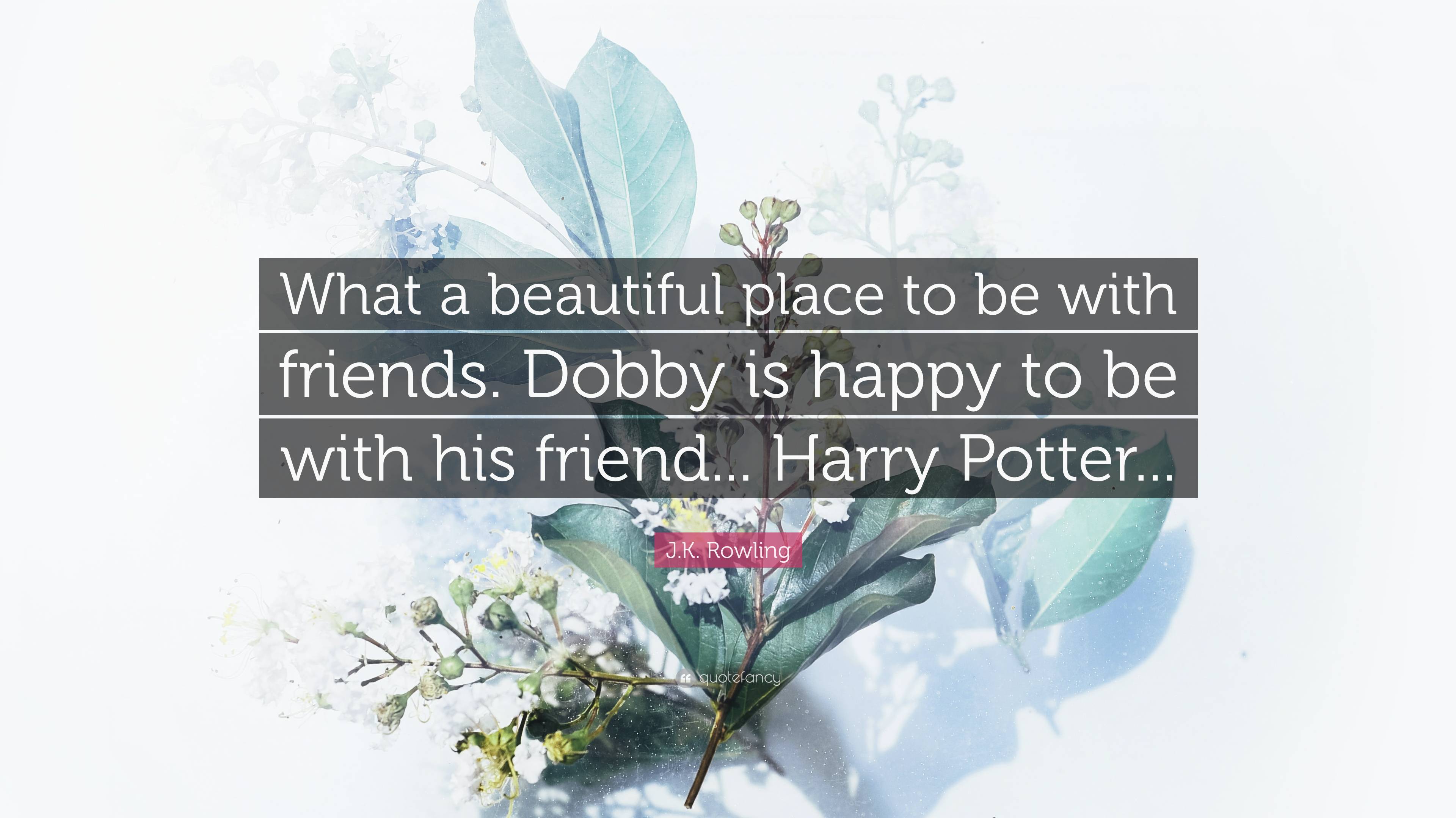 Pictures Of Harry Potter And His Friends Wallpapers