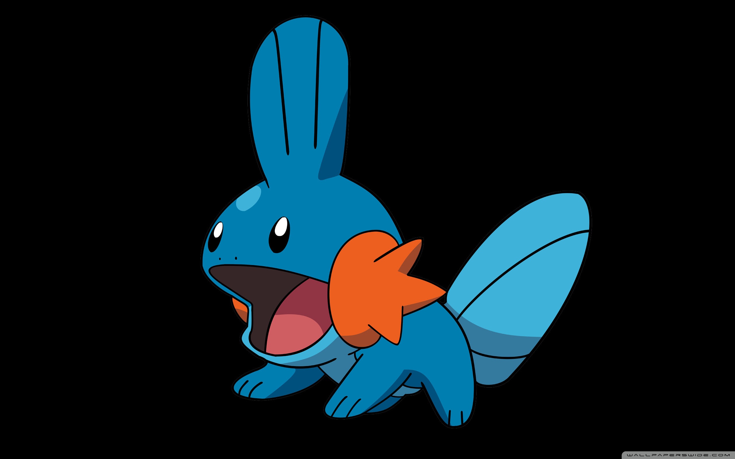 Pictures Of Mudkip Wallpapers