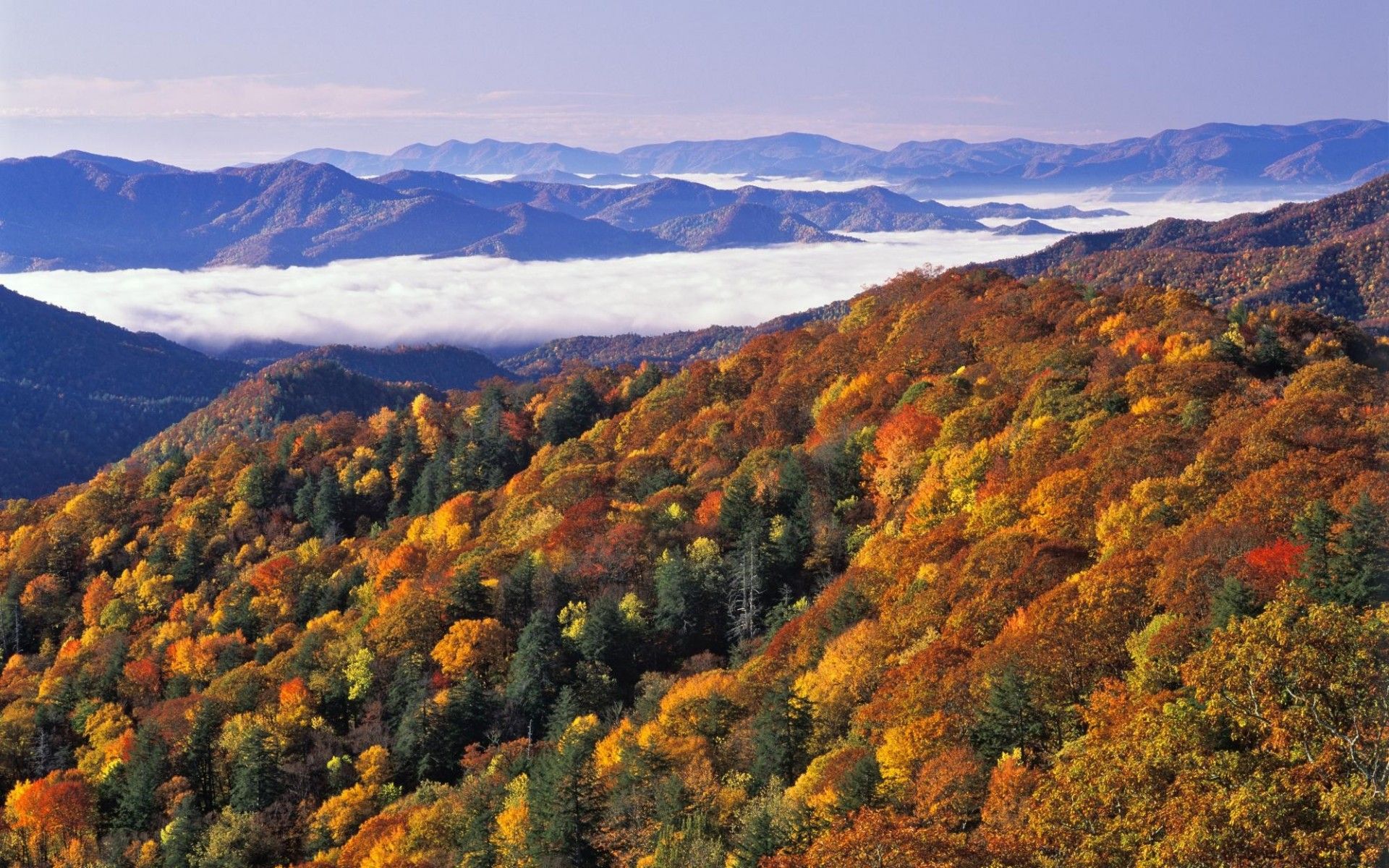 Pictures Of North Carolina Mountains Wallpapers