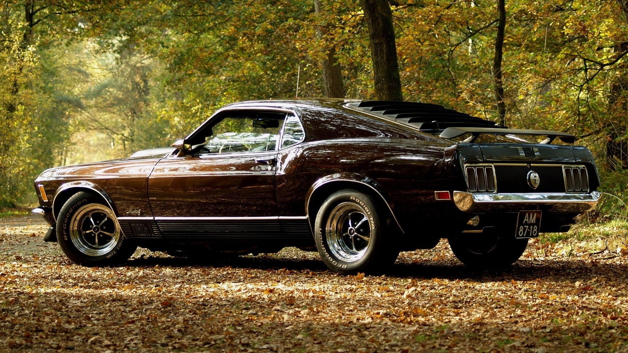 Pictures Of Old Muscle Cars Wallpapers