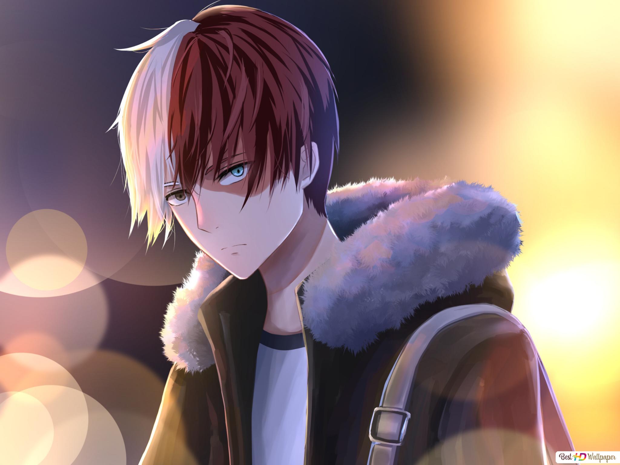 Pictures Of Shoto Todoroki From My Hero Academia Wallpapers