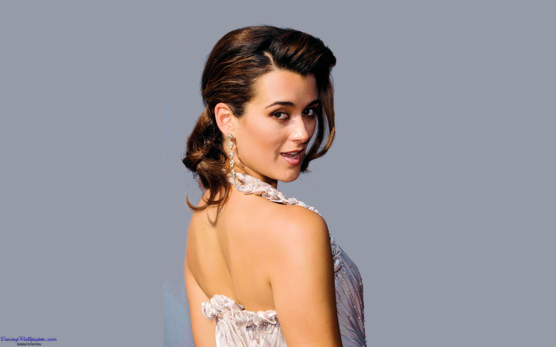 Pictures Of Ziva From Ncis Wallpapers