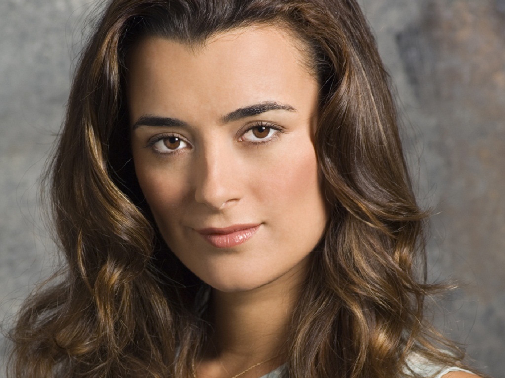 Pictures Of Ziva From Ncis Wallpapers