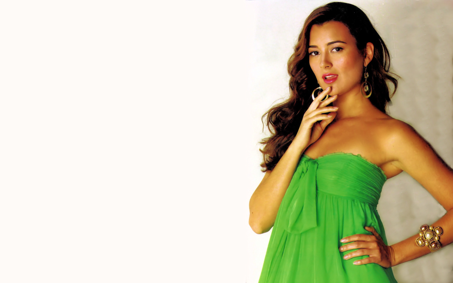 Pictures Of Ziva From Ncis Wallpapers