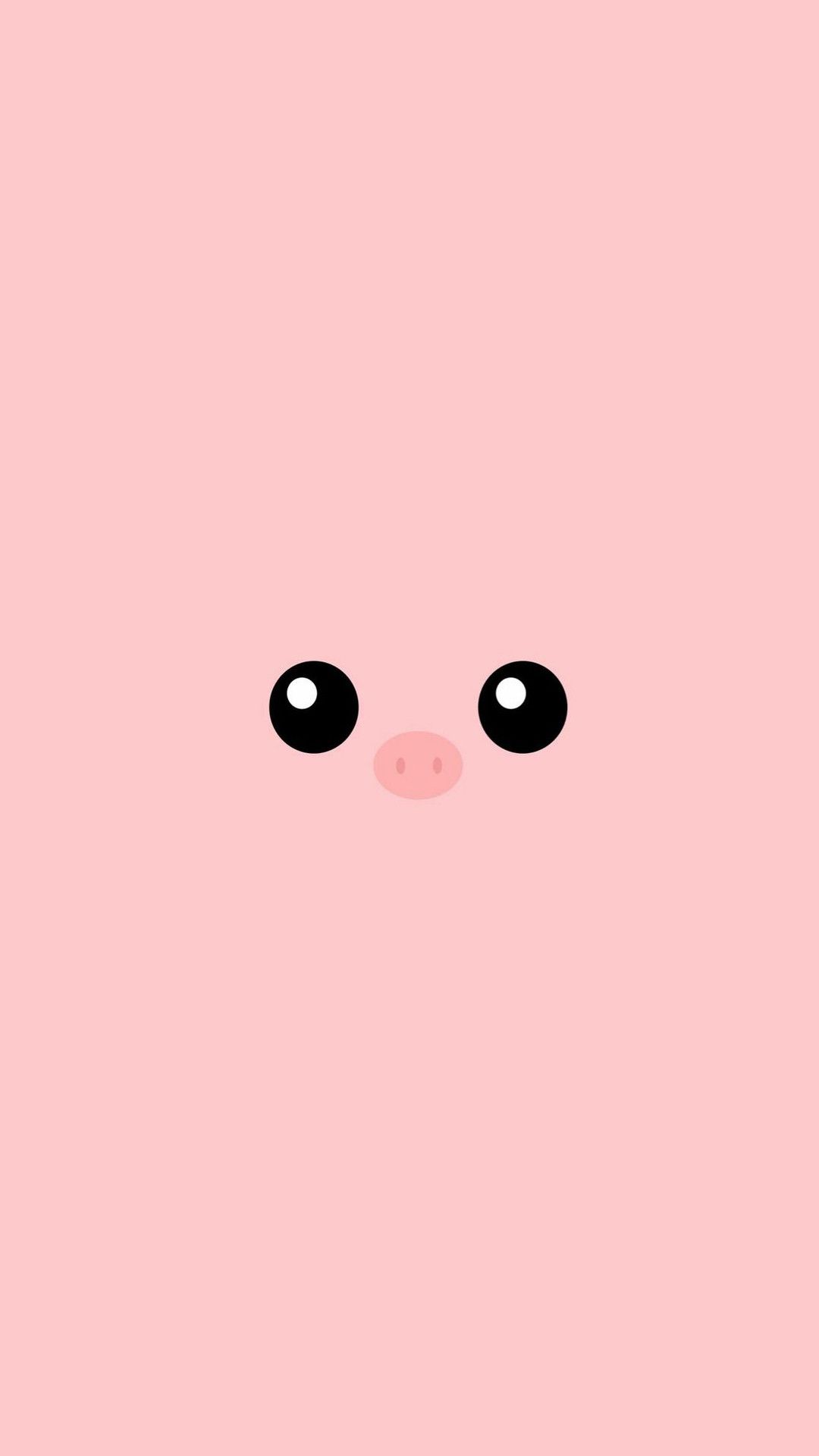 Piggy Wallpapers