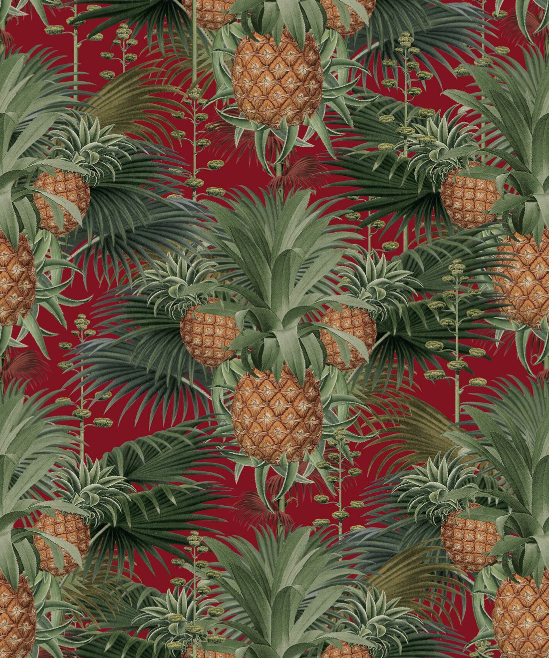 Pinaple Wallpapers