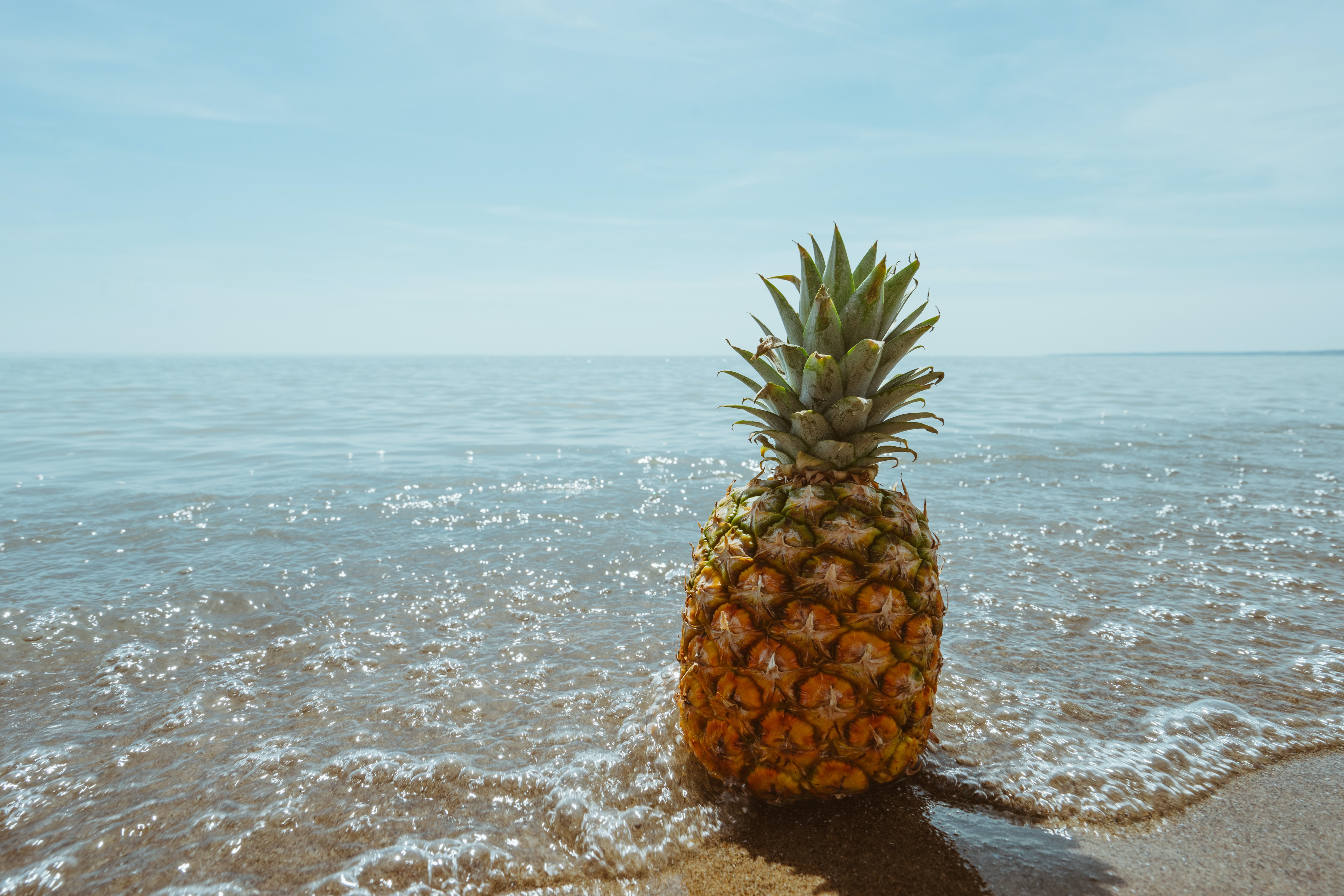 Pineapple Desktop Wallpapers