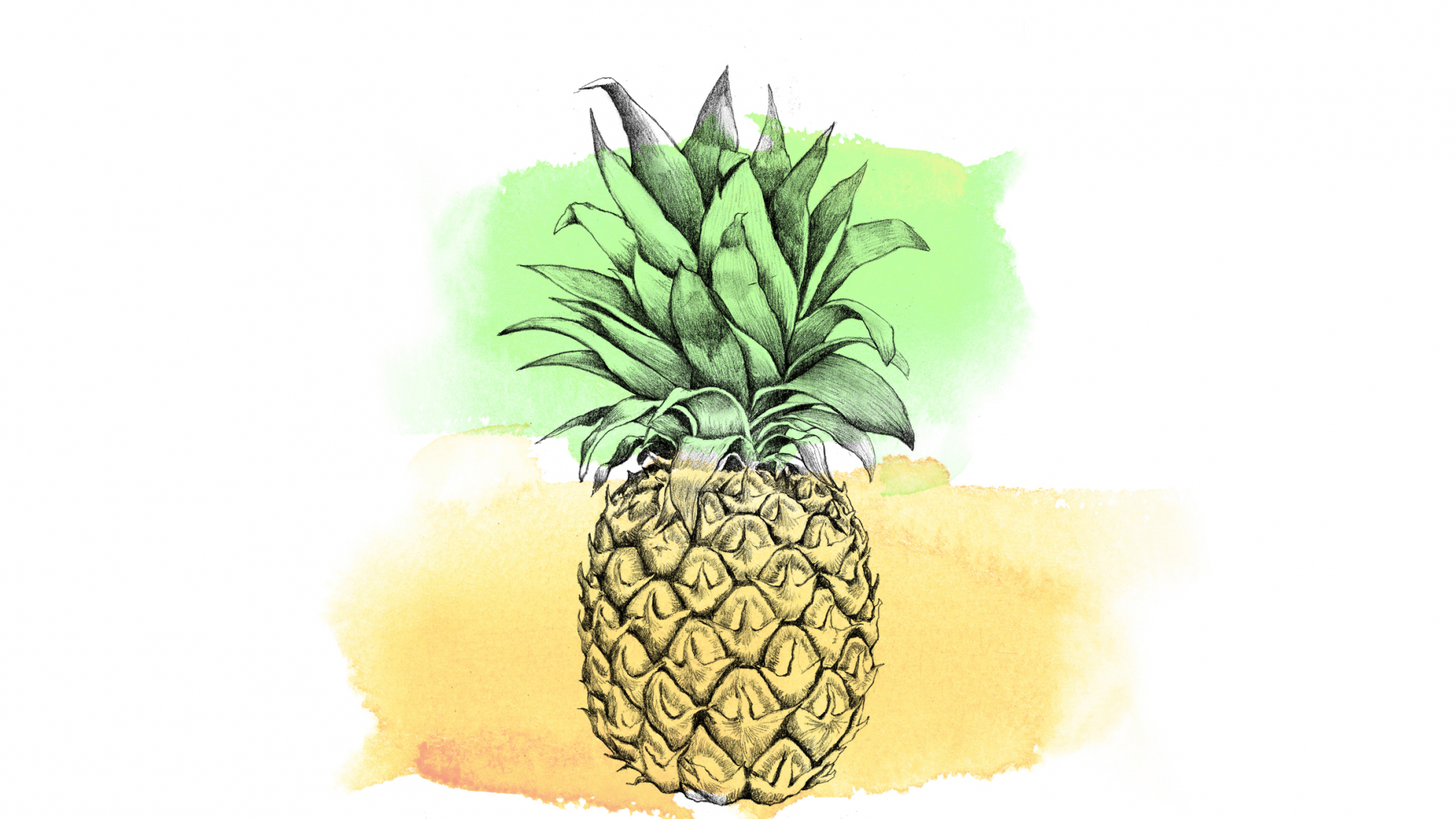 Pineapple Laptop Wallpapers