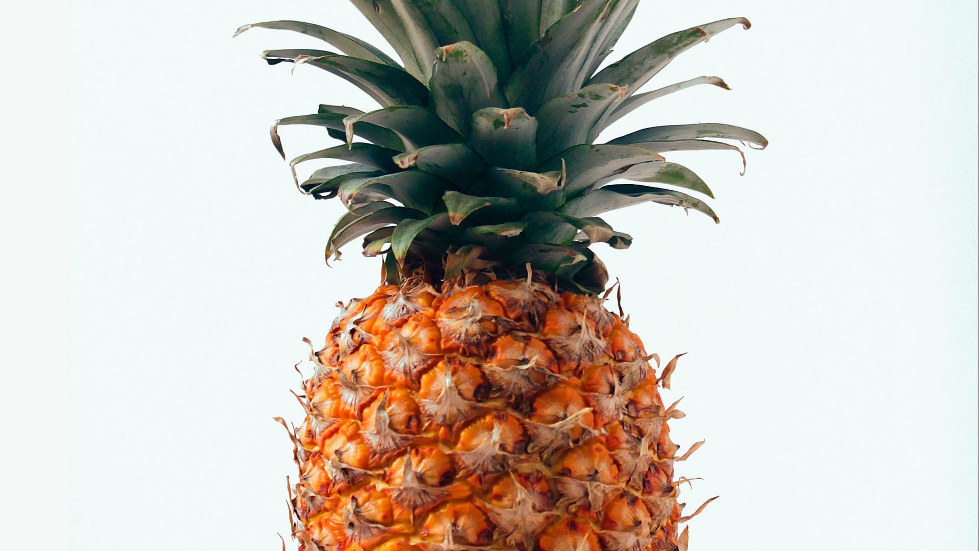 Pineapple Hd Wallpapers