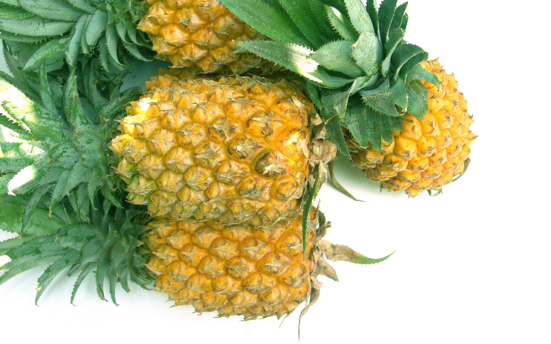 Pineapple Hd Wallpapers