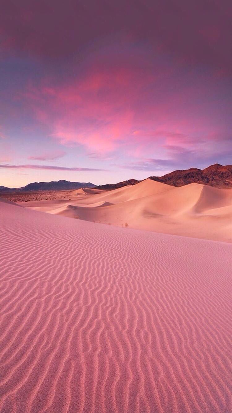 Pink Desert Wallpapers