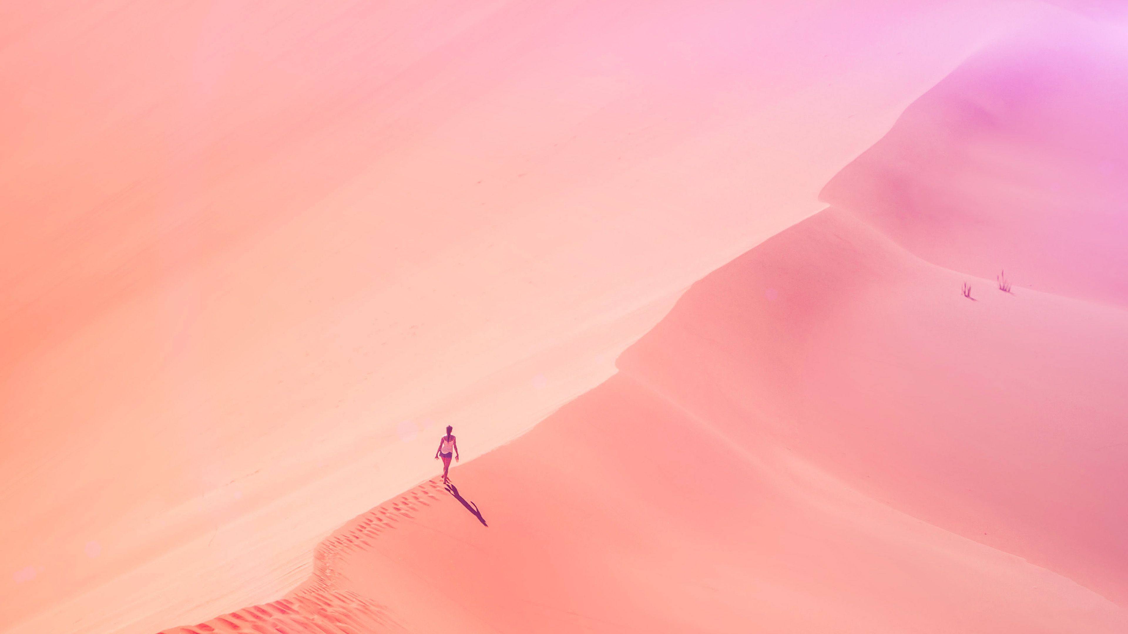 Pink Desert Wallpapers