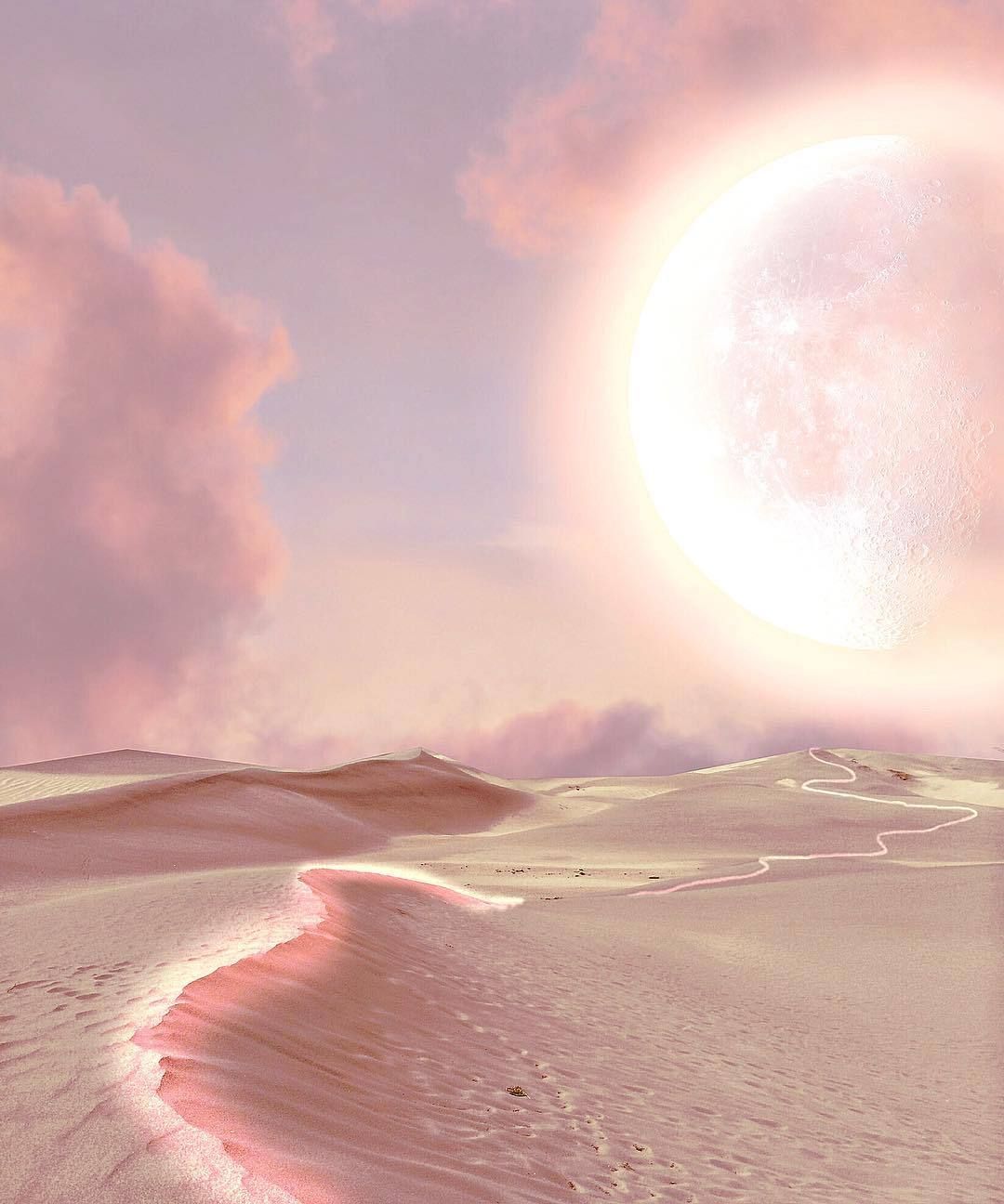 Pink Desert Wallpapers