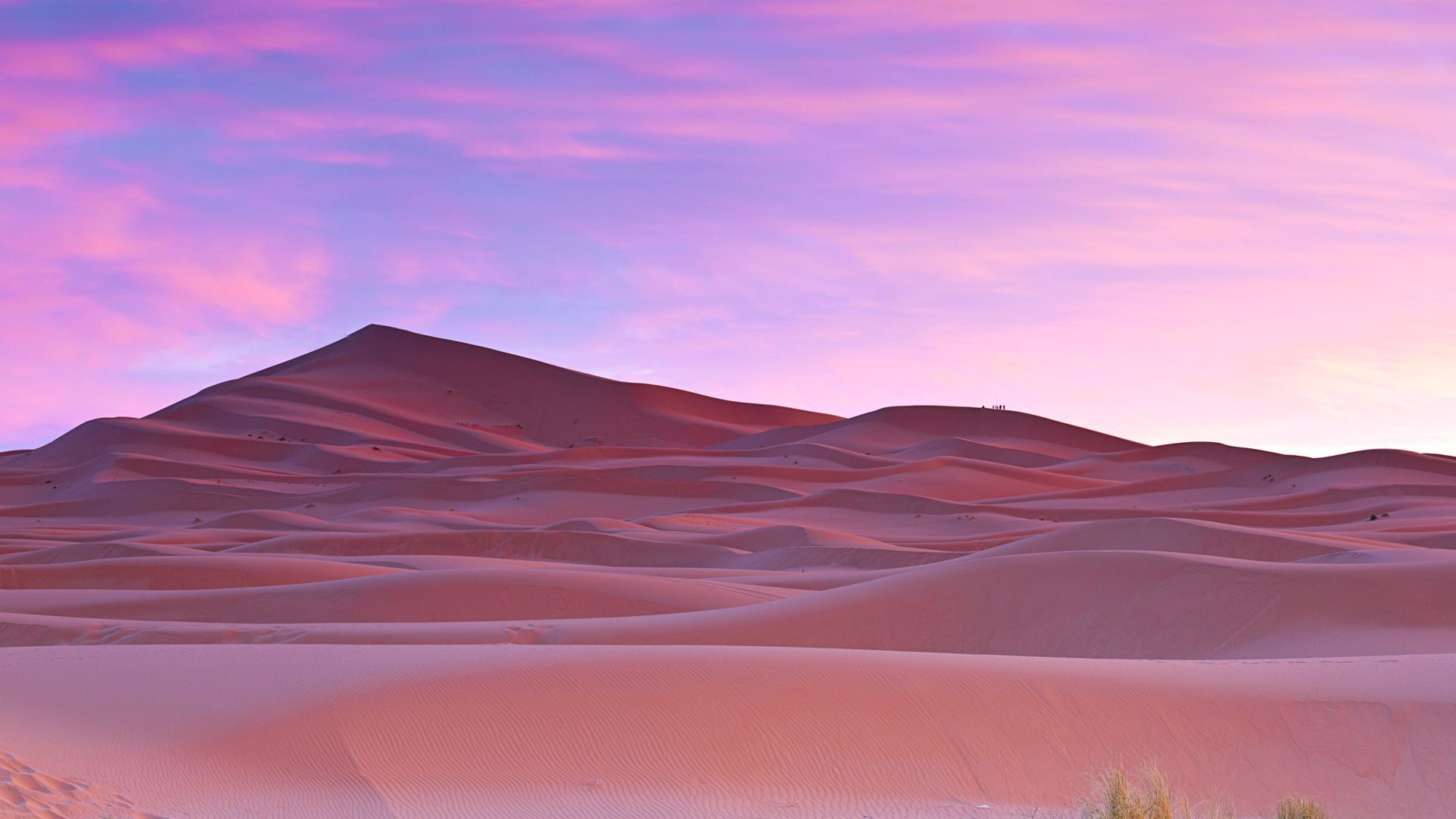 Pink Desert Wallpapers