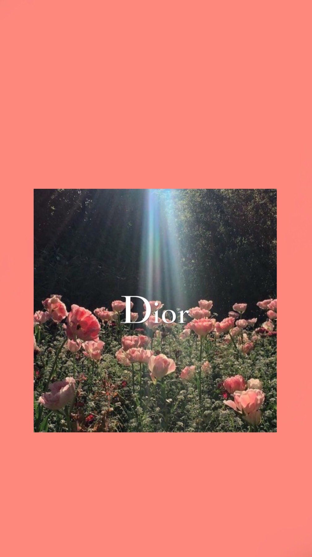 Pink Dior Aesthetic Wallpapers