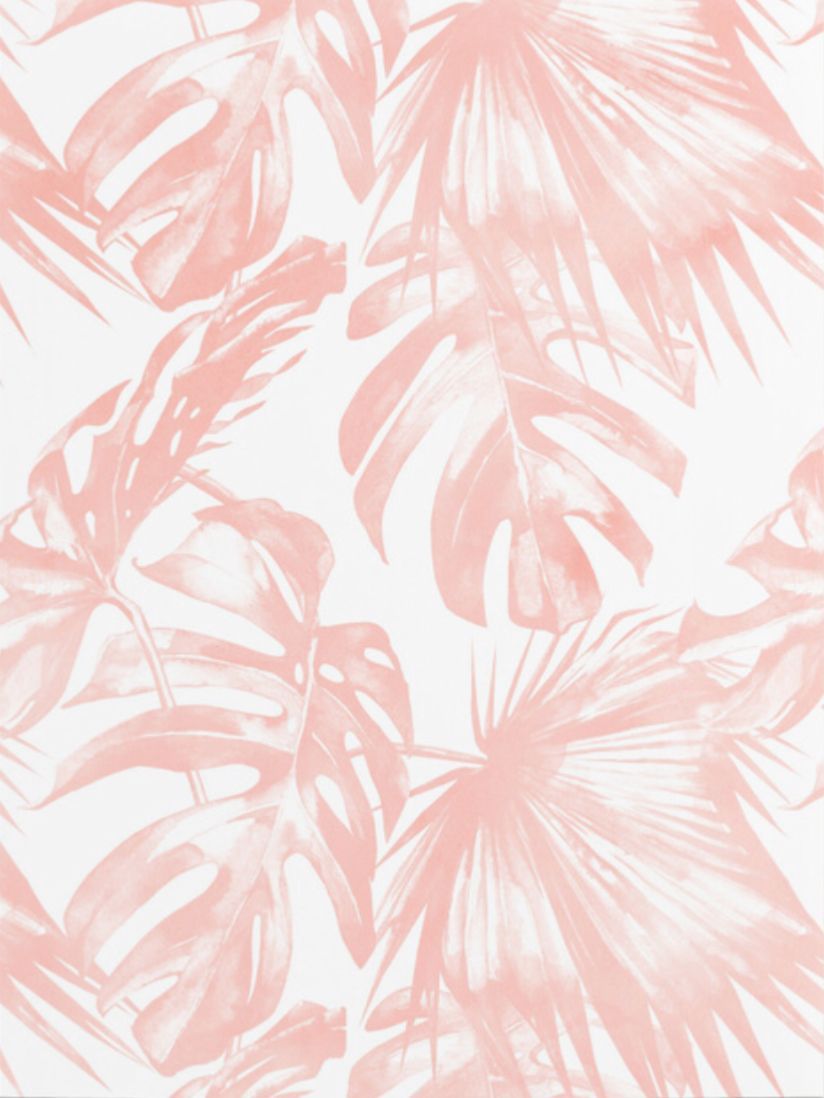 Pink Tropical Wallpapers
