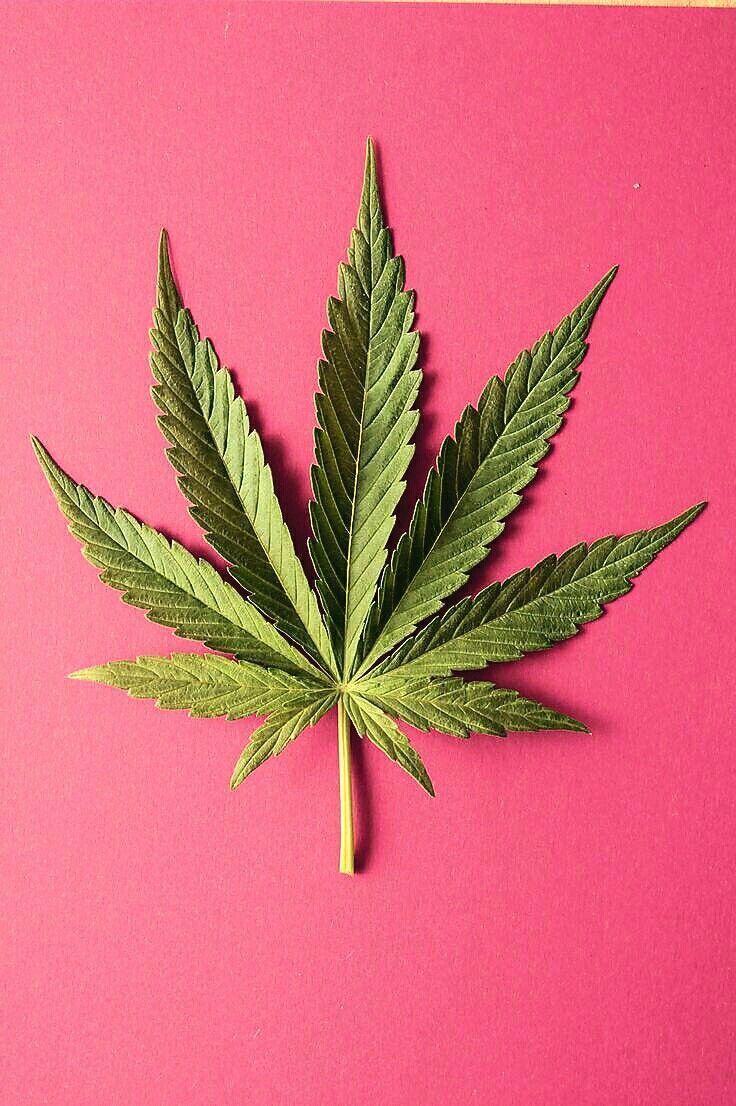 Pink Weed Aesthetic Wallpapers