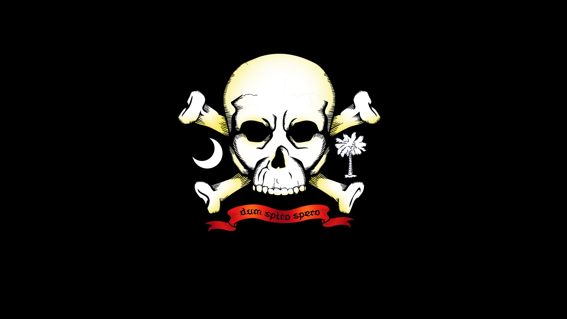 Pirate Skull Wallpapers