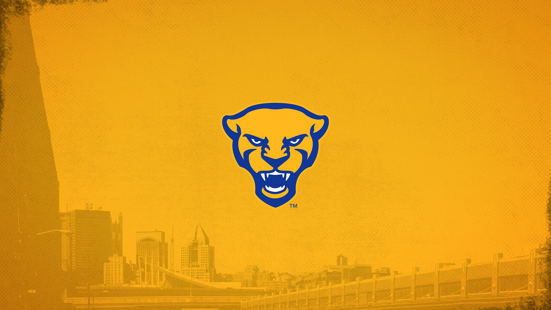 Pitt Wallpapers