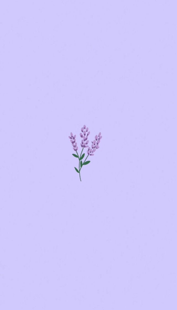 Plain Purple Wallpapers