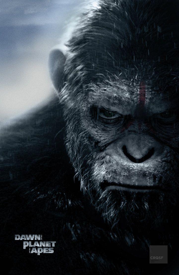 Planet Of The Apes Wallpapers