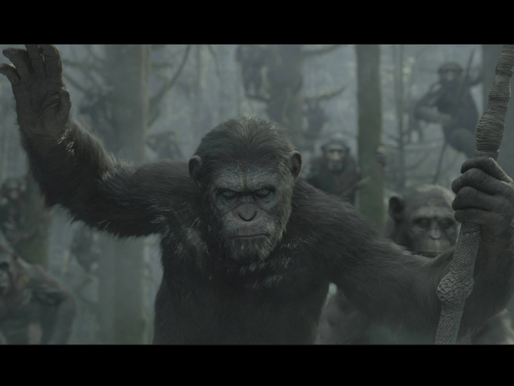 Planet Of The Apes Wallpapers