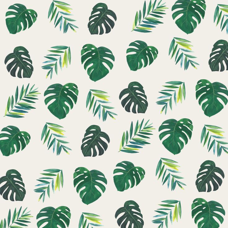 Plant Ipad Wallpapers