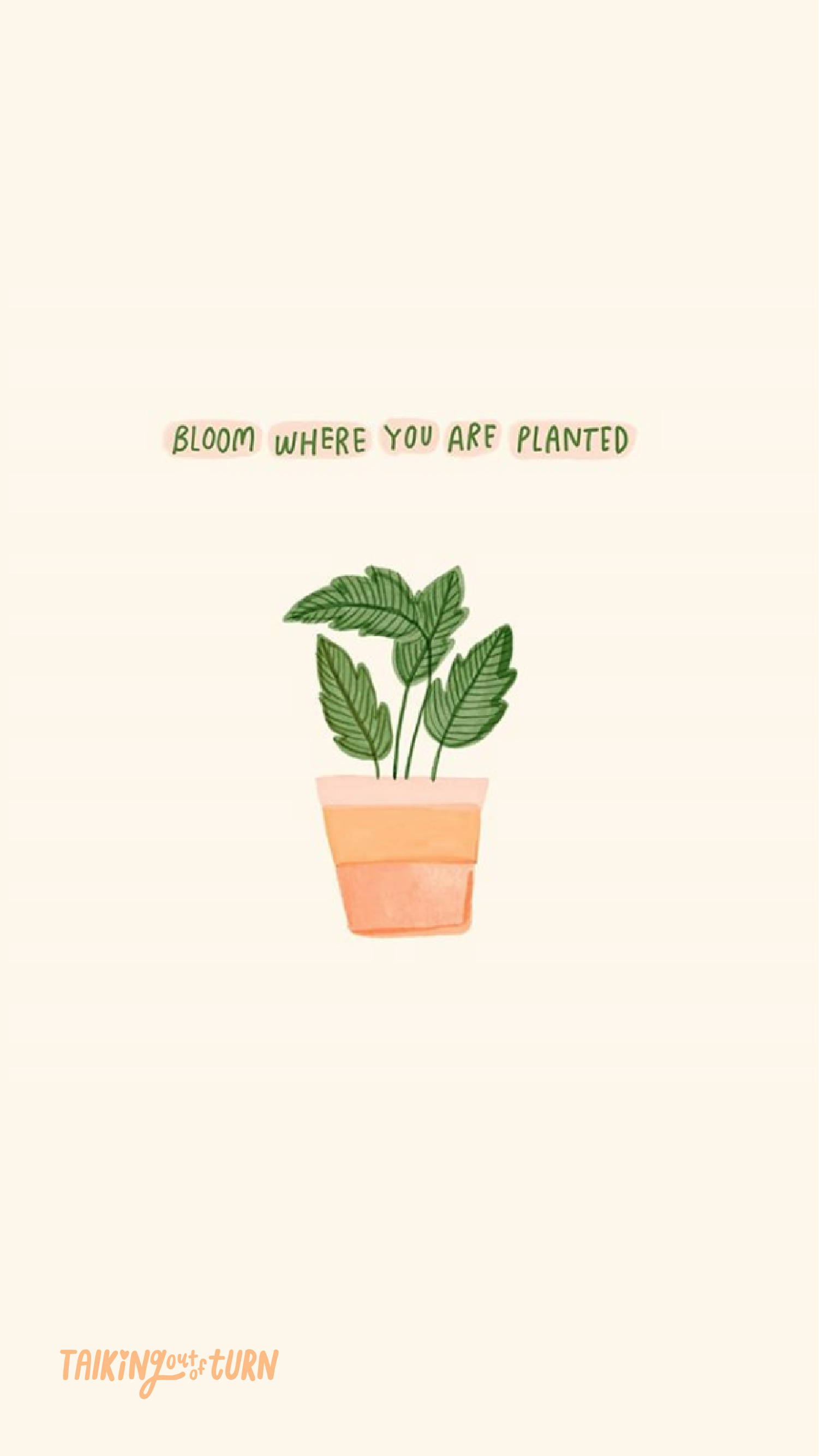 Plant For Phone Wallpapers
