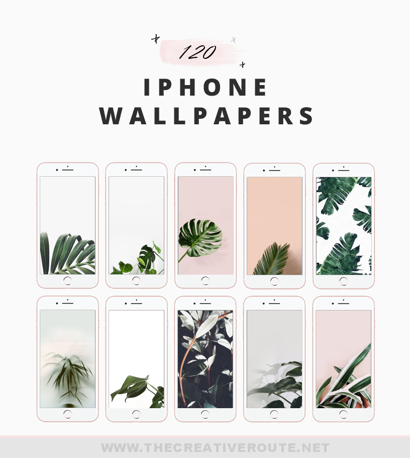 Plant Iphone Wallpapers