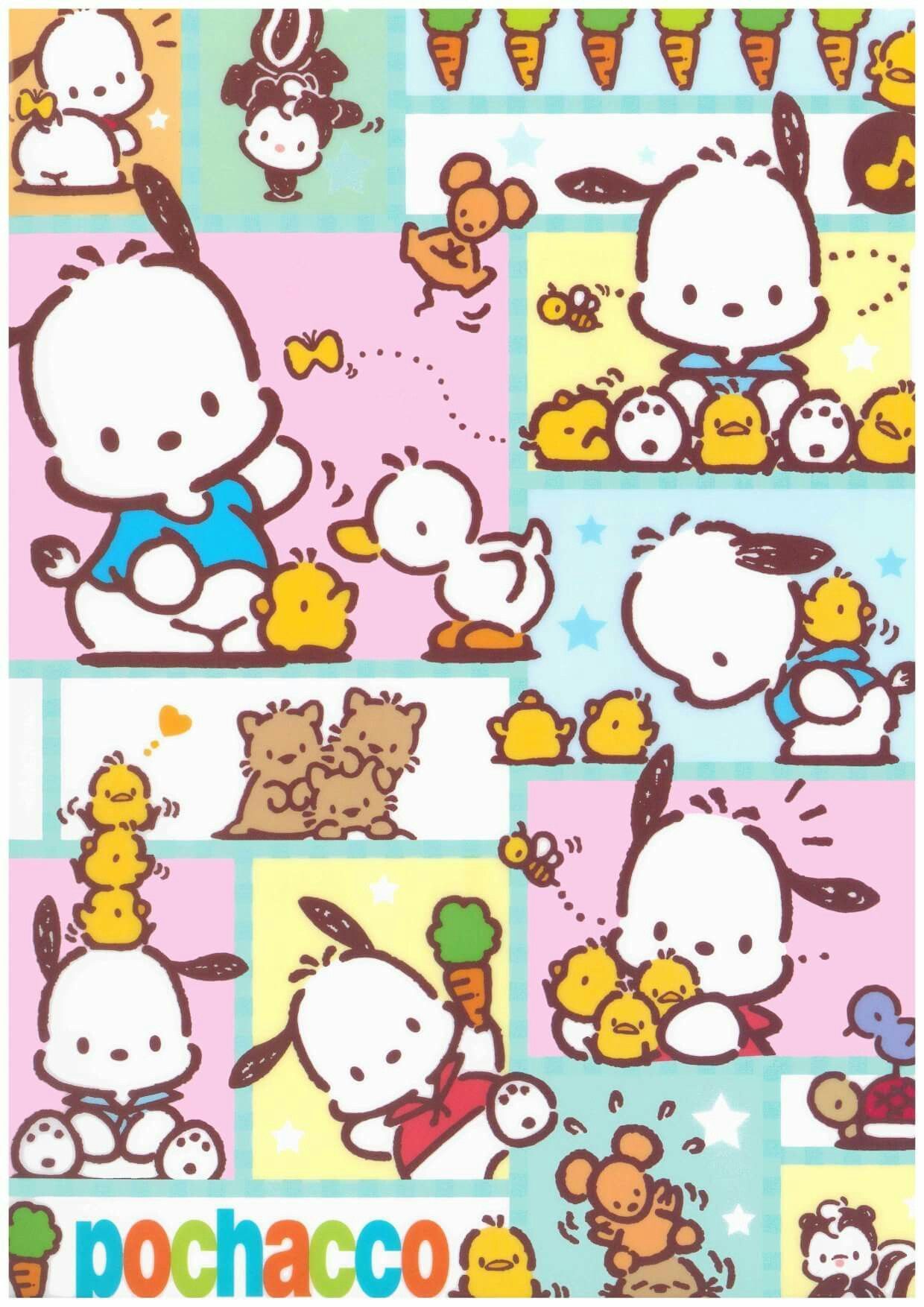 Pochacco Wallpapers