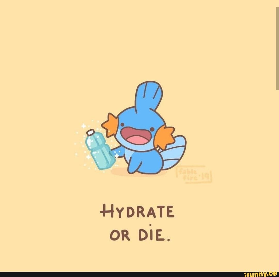 Pokemon Meme Wallpapers