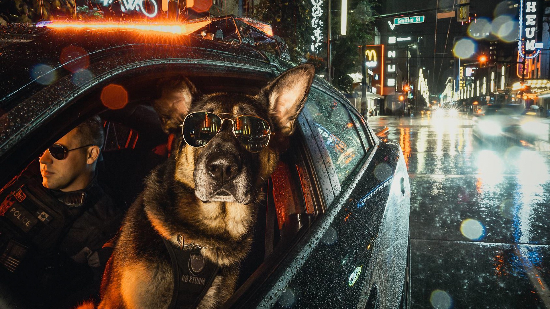 Police K9 Wallpapers