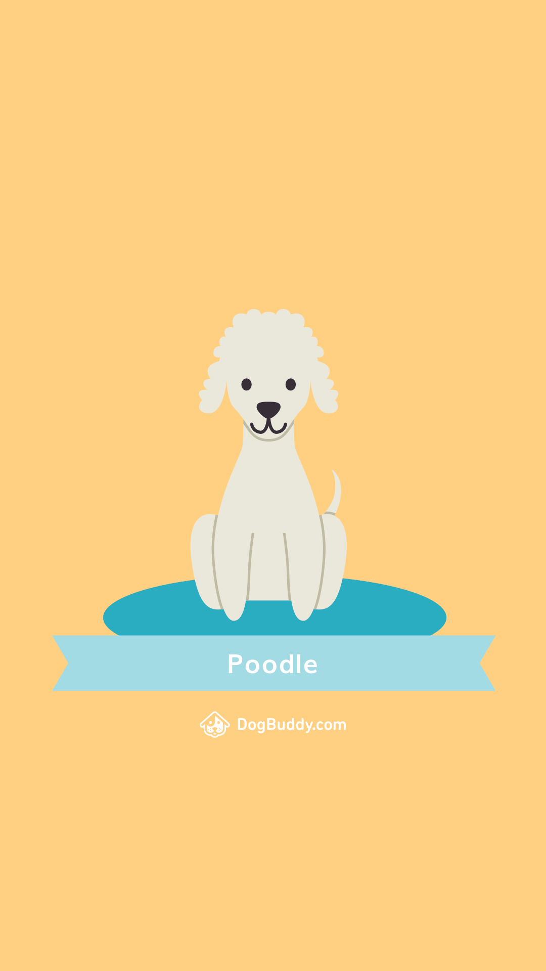 Poodle Wall Paper Wallpapers