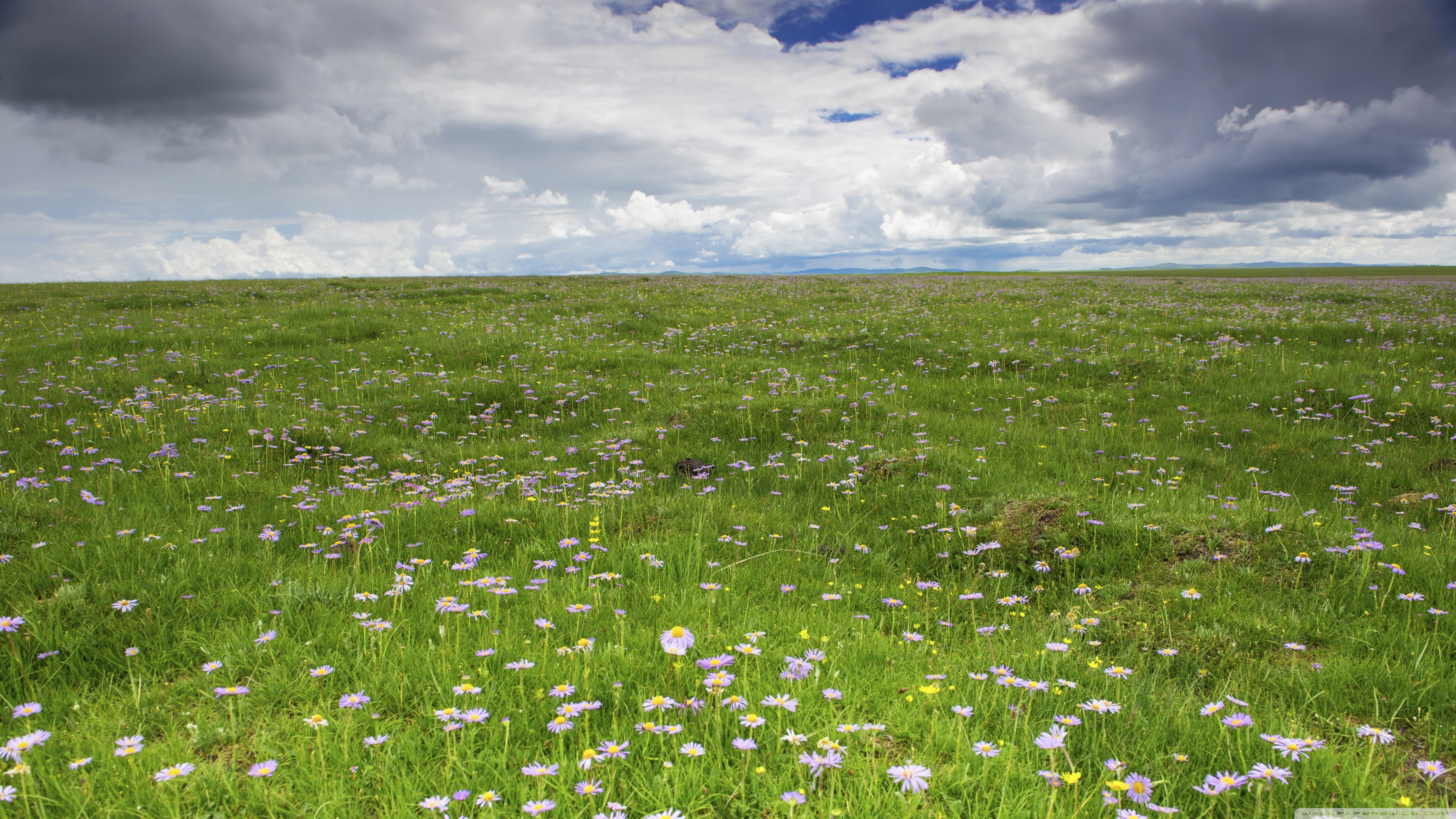 Prairie Wallpapers