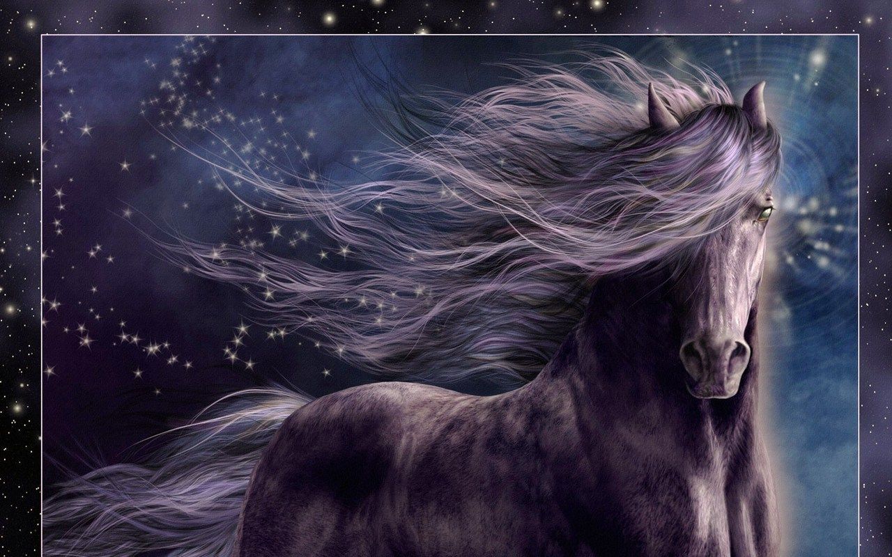 Pretty Horse Drawings Wallpapers