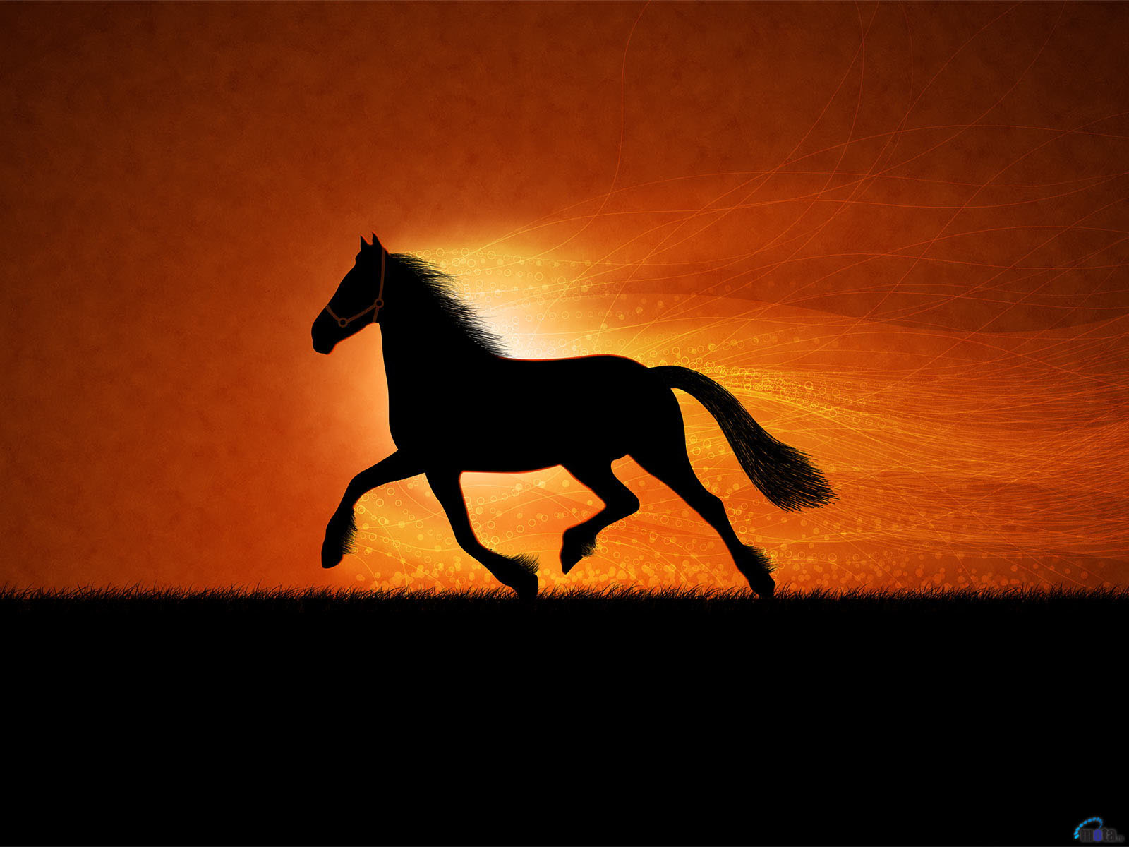 Pretty Horse Drawings Wallpapers