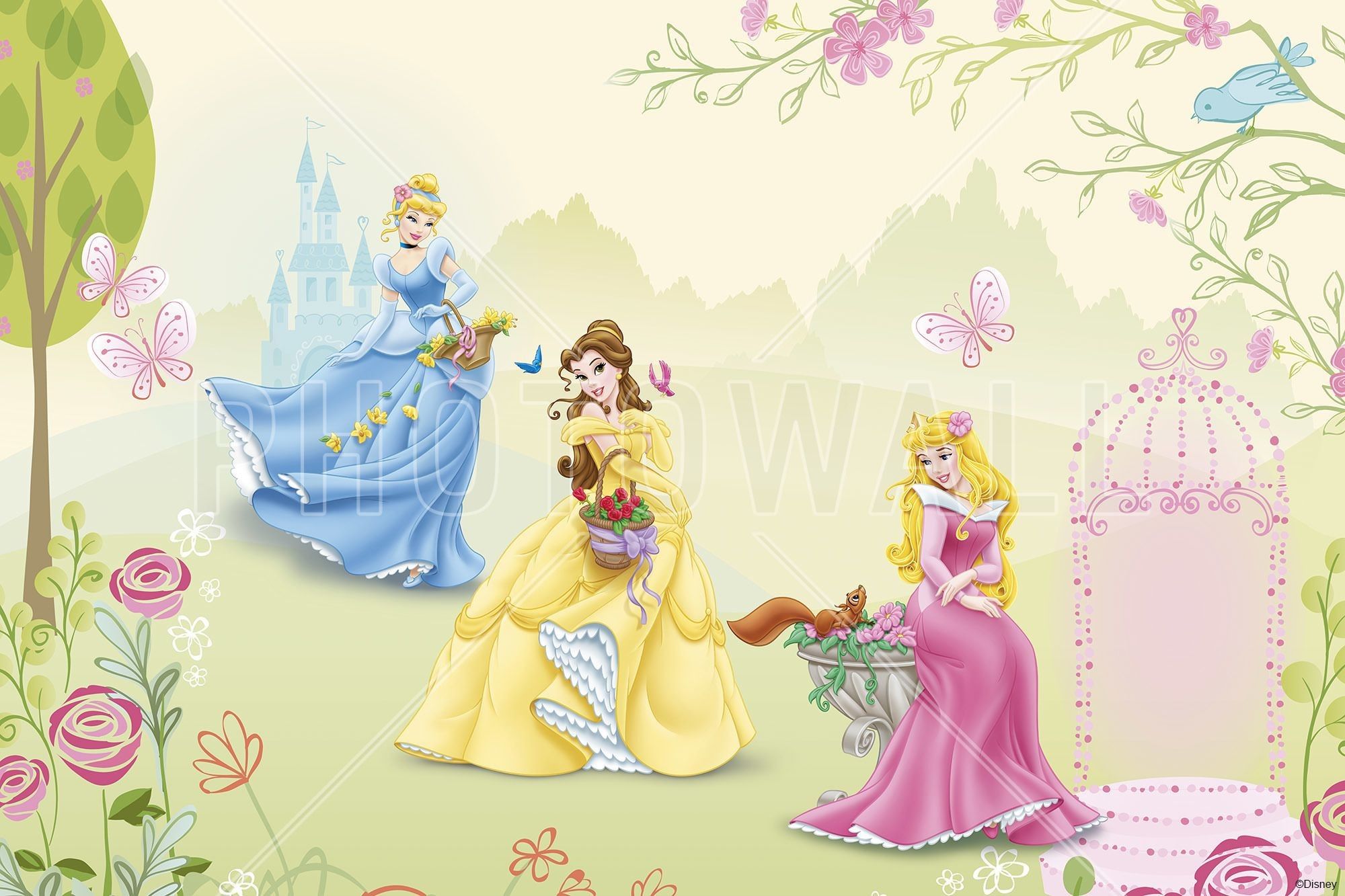 Princess Belle Pictures Wallpapers