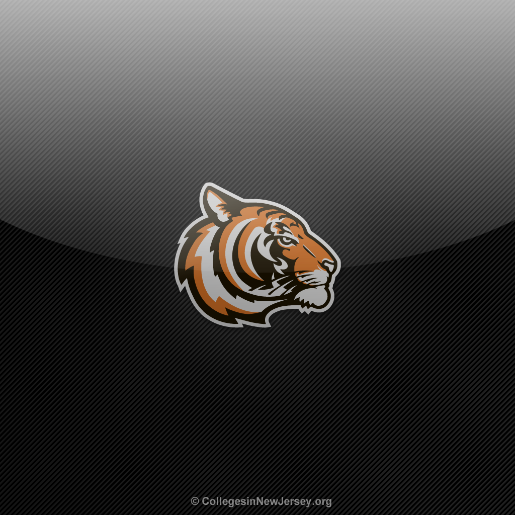 Princeton Wallpapers