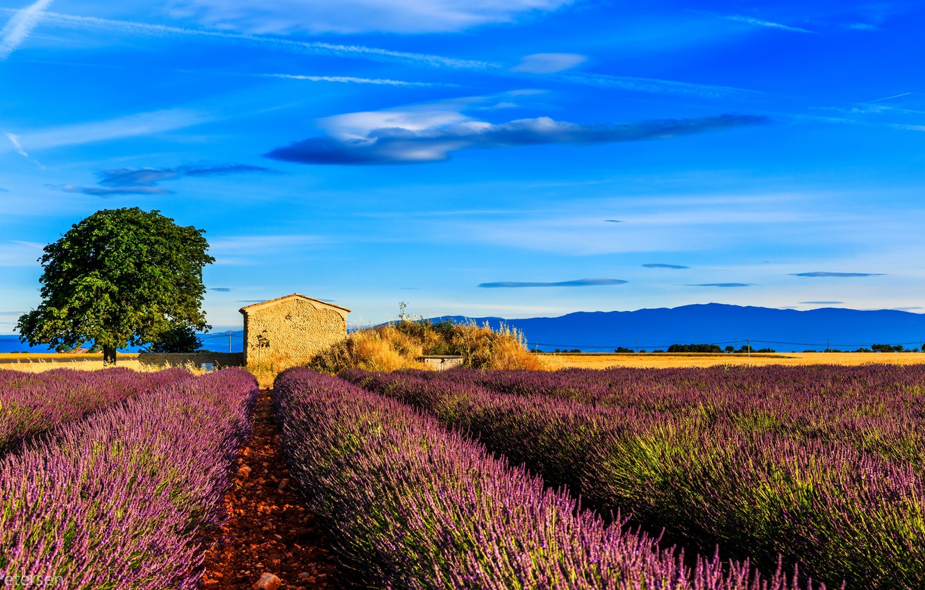 Provence France Wallpapers